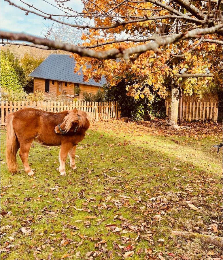 Cottage Normand Avec Sa Grande Piscine Chauffee Toute L Annee Sur Parc Arbore Et Clos En Plein Coeur De La Campagne Adapte Aux Kids Et Dog Friendly Saint-Antonin-de-Sommaire 외부 사진
