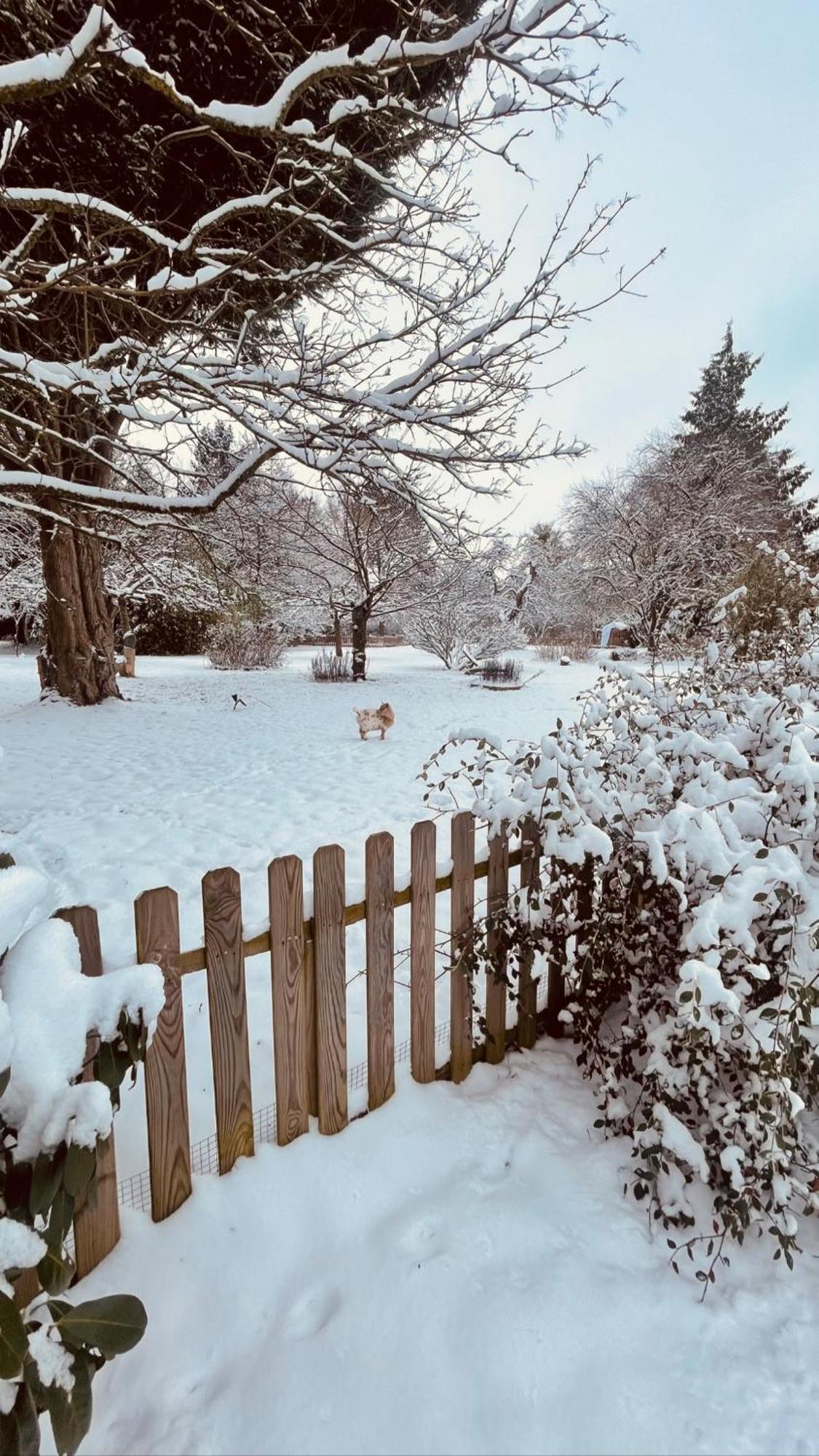 Cottage Normand Avec Sa Grande Piscine Chauffee Toute L Annee Sur Parc Arbore Et Clos En Plein Coeur De La Campagne Adapte Aux Kids Et Dog Friendly Saint-Antonin-de-Sommaire 외부 사진