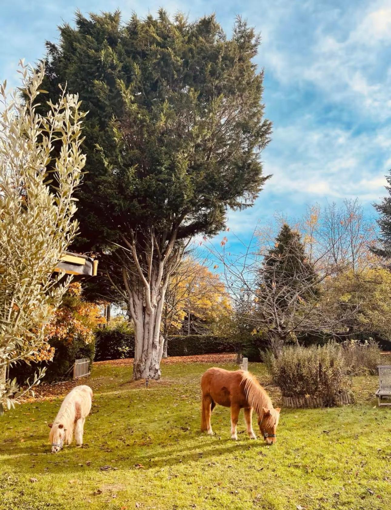 Cottage Normand Avec Sa Grande Piscine Chauffee Toute L Annee Sur Parc Arbore Et Clos En Plein Coeur De La Campagne Adapte Aux Kids Et Dog Friendly Saint-Antonin-de-Sommaire 외부 사진
